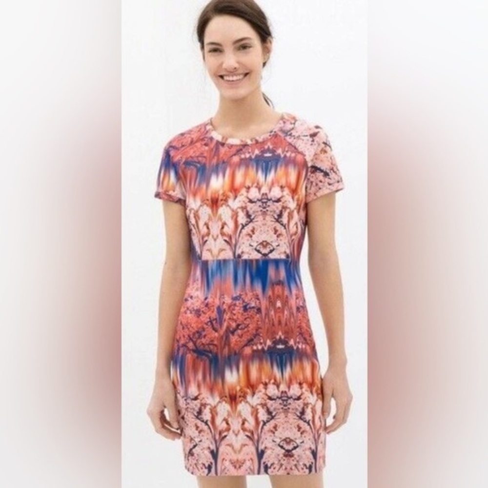 Zara W&B Collection Cherry Blossom Neoprene Dress